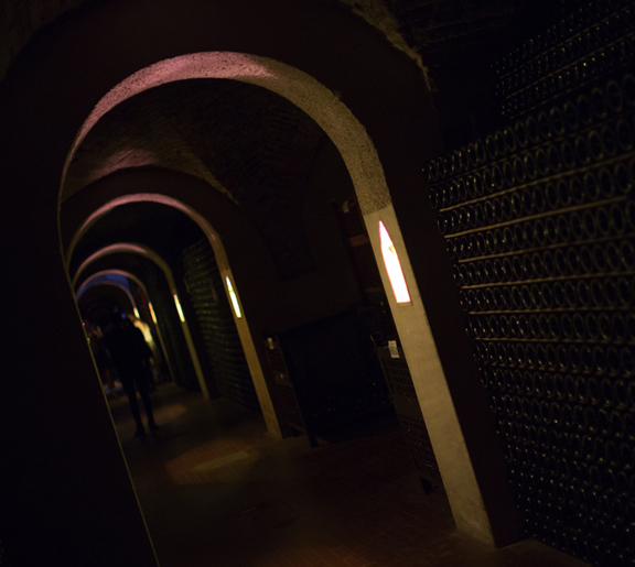 ParlarDivino